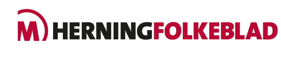 Fotograf & Wordpress, Hamistolen